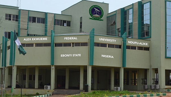 Alex Ekwueme Federal University, Ndufu-Alike ( FED-NDUFU ) buildings