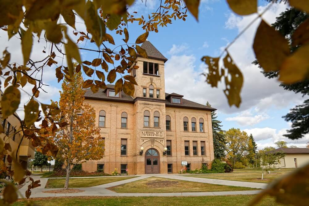 Dakota College at Bottineau buildings