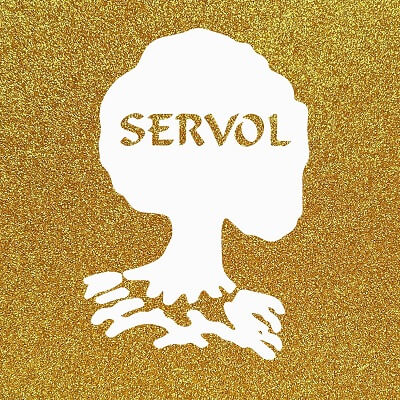 SERVOL Limited logo